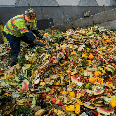Food Waste Adds Up Quickly